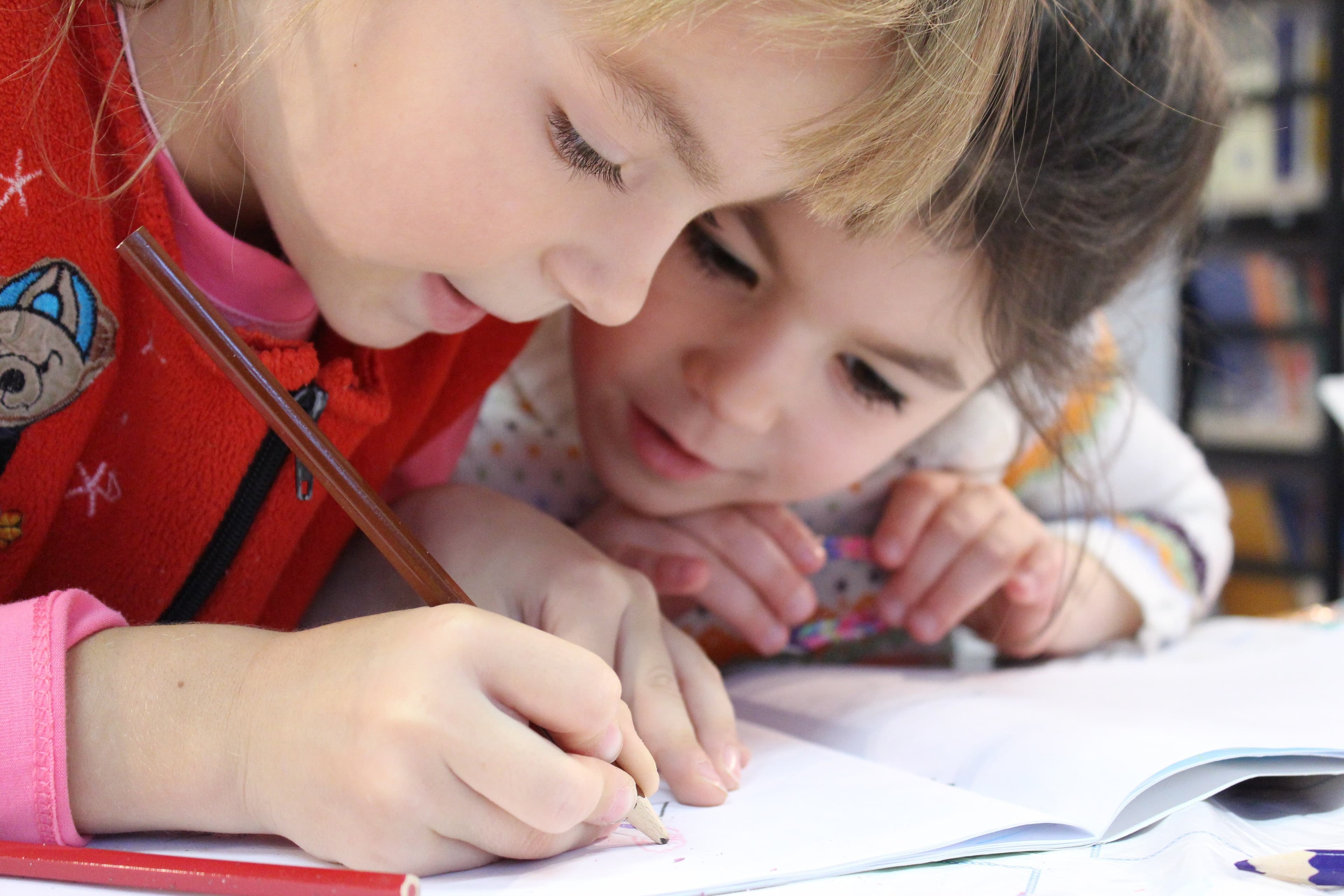 Notele nu definesc copilul tău! Calitatea care îi modelează cu adevărat viitorul, conform experților în educație